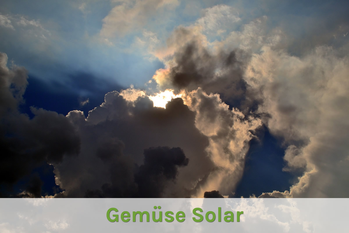 Gemüse Solar Gemüse Solar